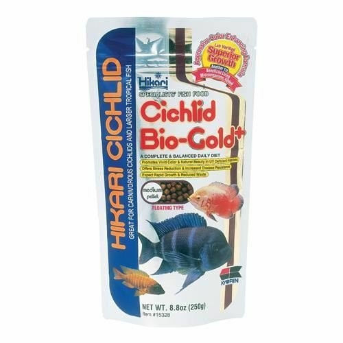 Hikari cichlid bio - bio, gold